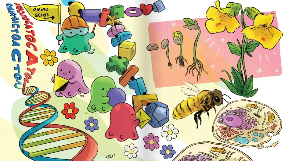Comic illustration of DNA, anthropomorphic amino acids, bees, and plant germination.