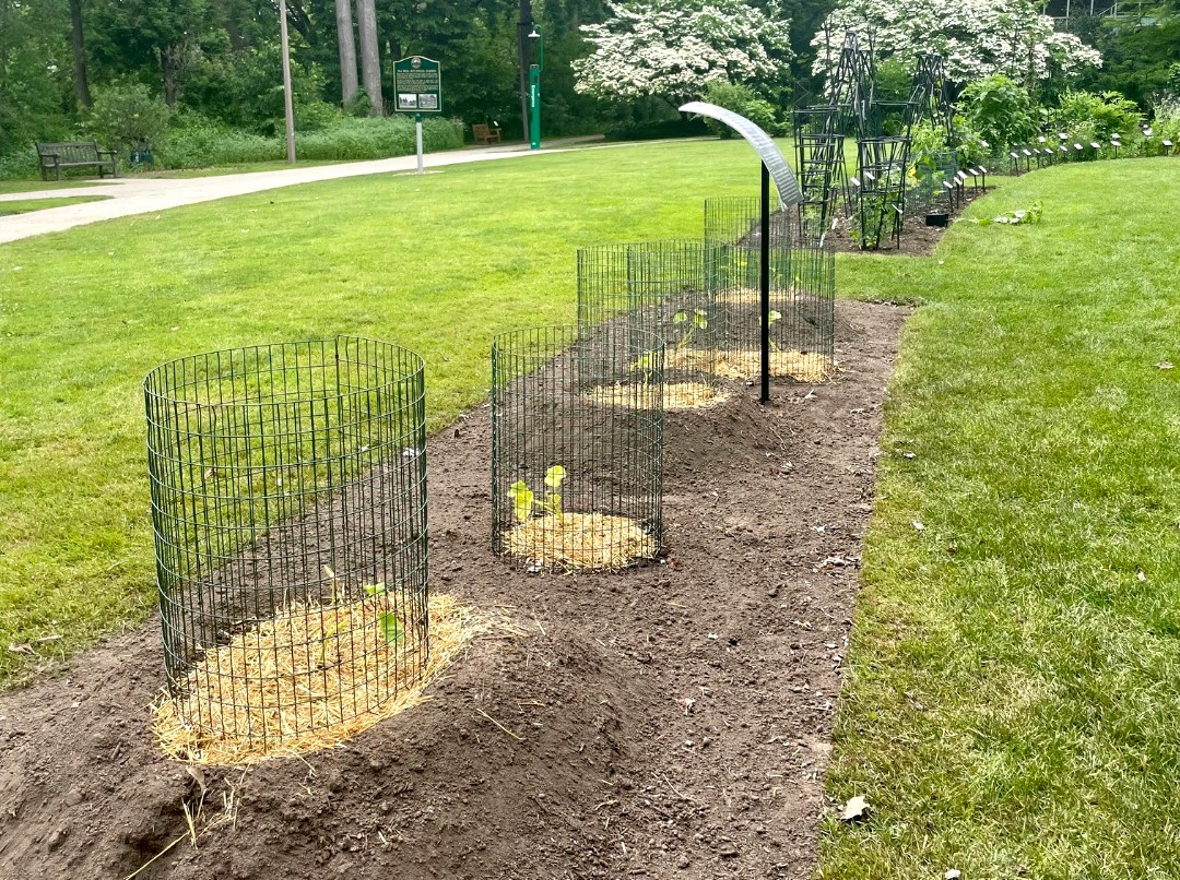 Multiple new plots at the Beal Botanical Garden