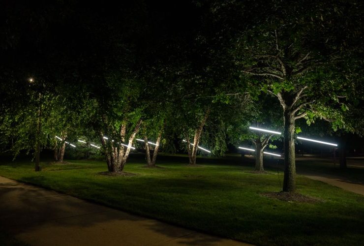 A nighttime scene featuring several trees illuminated by diagonal white light fixtures. The lights are suspended between the trees, creating a striking geometric effect against the dark sky and greenery. The ground is grassy, bordered by a concrete walkway.