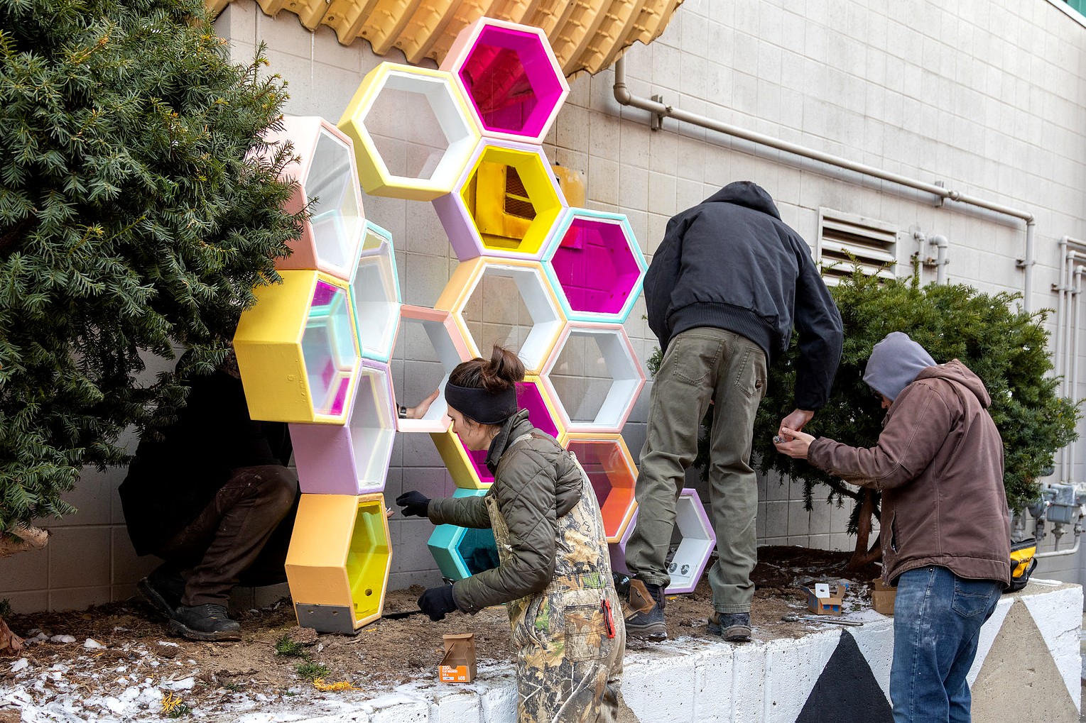 Outdoors in winter, four people install a multicolored hexagonal sculpture against a concrete wall beside evergreen shrubs. The sculpture includes hexagons painted in pastel colors with translucent panels in bright yellow, pink, and teal.