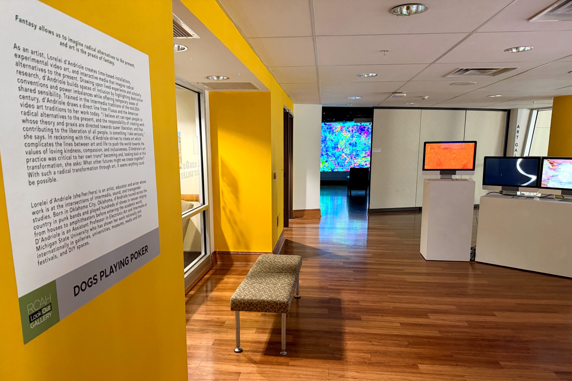 A yellow accent wall displays the exhibition's artist statement and biography. In the background, video works are displayed on monitors and large projections.