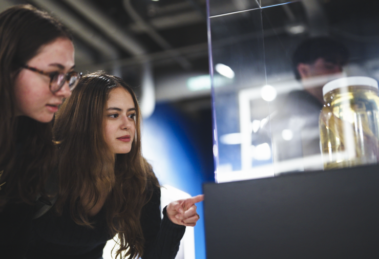 Two people leaning down looking into a glass case at a Museum.