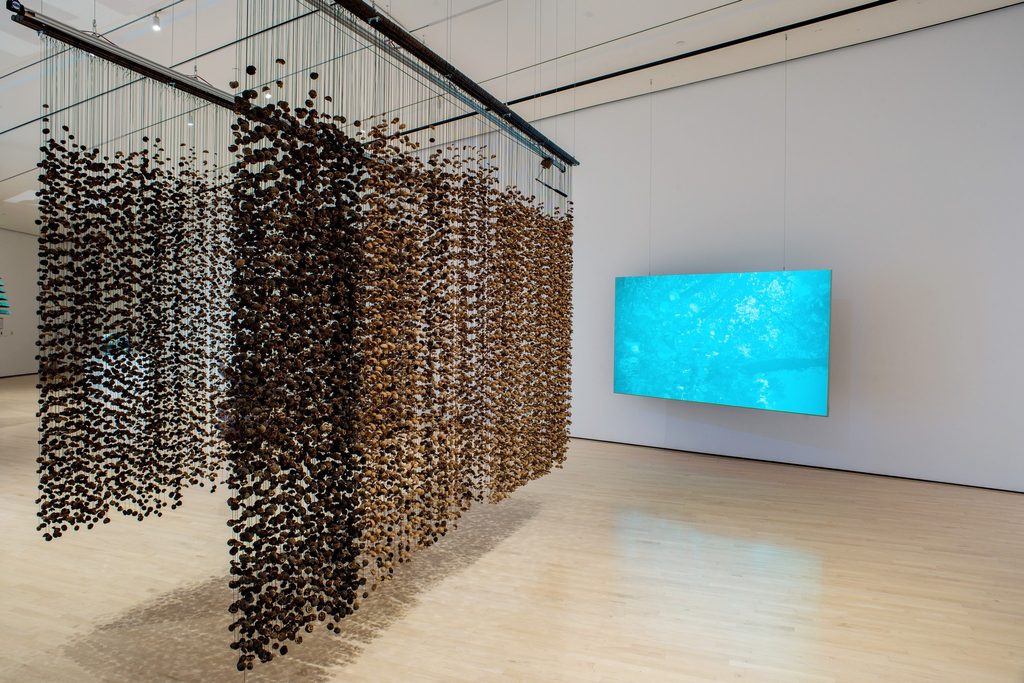 Art installation in a gallery featuring hanging strands of textured brown elements. A bright blue abstract video screen is mounted on the wall.