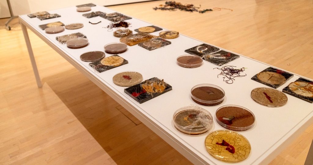 A white table displaying circular, translucent art pieces with embedded objects and textures, set in a well-lit gallery on a wooden floor.