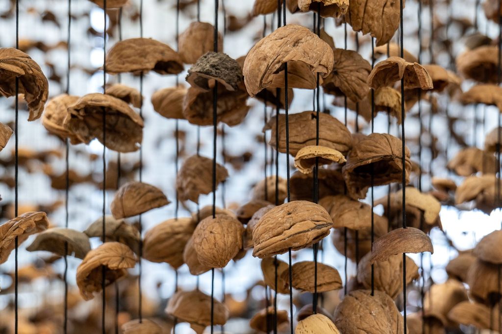 Close-up of walnut shells suspended on think black string, creating an organic, textured art installation.