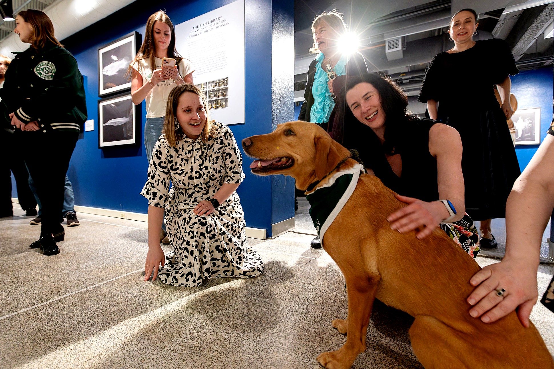 Visitors gather around a fox red Labrador wearing a green bandana during a museum exhibition opening, smiling and petting the dog while viewing exhibits in the gallery.
