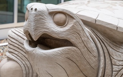 Details of the turtle sculpture at the MSU Multicultural Center.